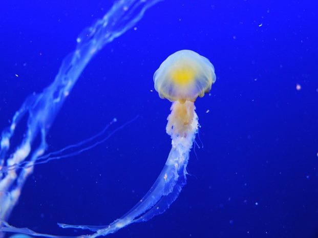 정기 기능사 시험 주의 사항 안내