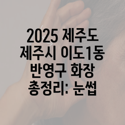 2025 제주도 제주시 이도1동 반영구 화장 총정리: 눈썹