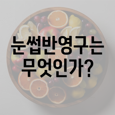 눈썹반영구는 무엇인가?