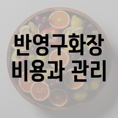 반영구화장 비용과 관리