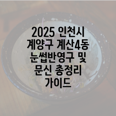 2025 인천시 계양구 계산4동 눈썹반영구 및 문신 총정리 가이드