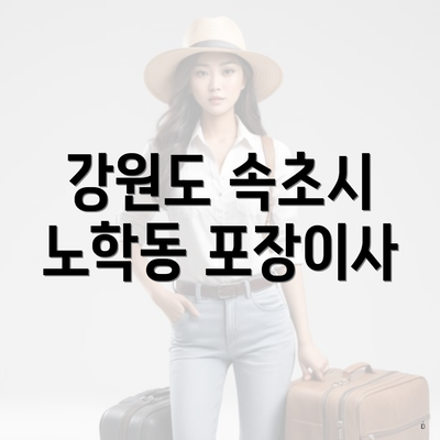 강원도 속초시 노학동 포장이사