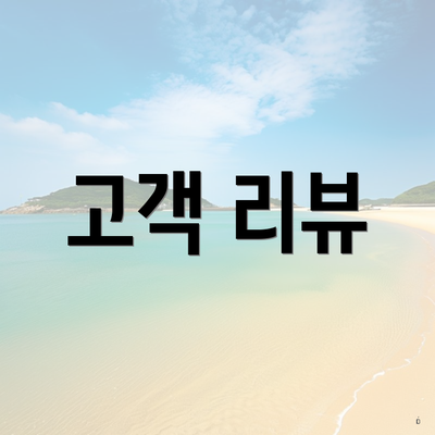 고객 리뷰