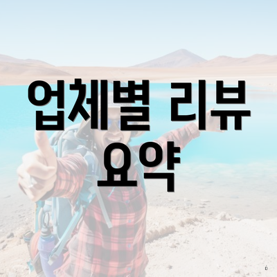 업체별 리뷰 요약