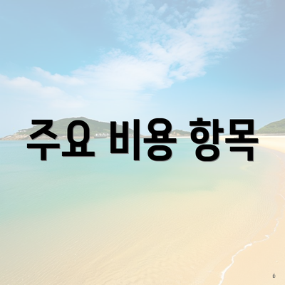주요 비용 항목