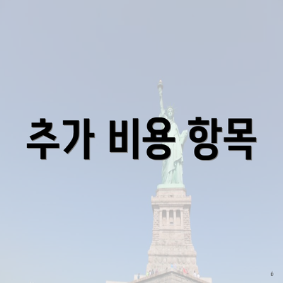 추가 비용 항목