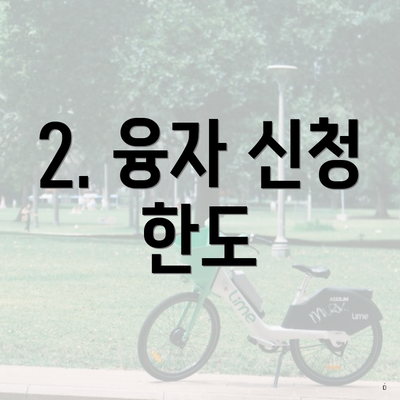 2. 융자 신청 한도