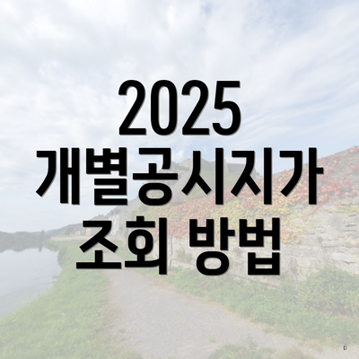 2025 개별공시지가 조회 방법