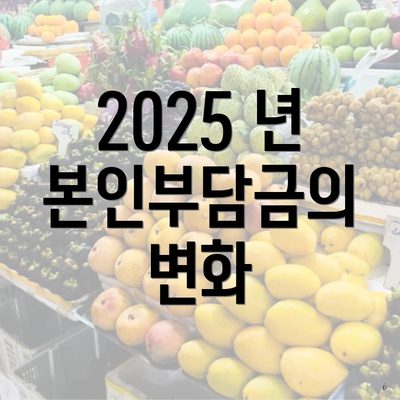 2025 년 본인부담금의 변화