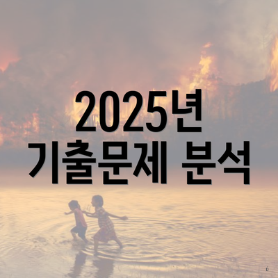 2025년 기출문제 분석
