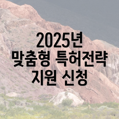2025년 맞춤형 특허전략 지원 신청