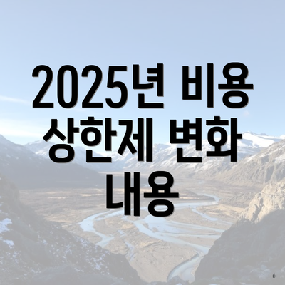2025년 비용 상한제 변화 내용