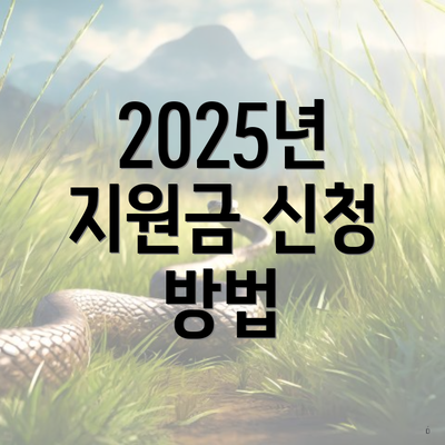 2025년 지원금 신청 방법