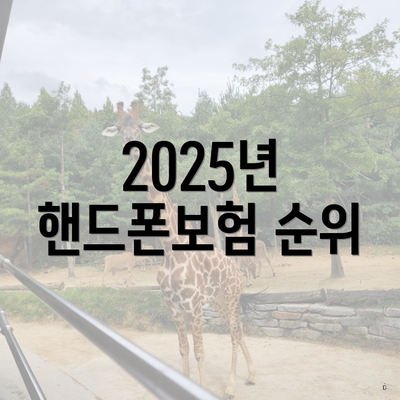 2025년 핸드폰보험 순위