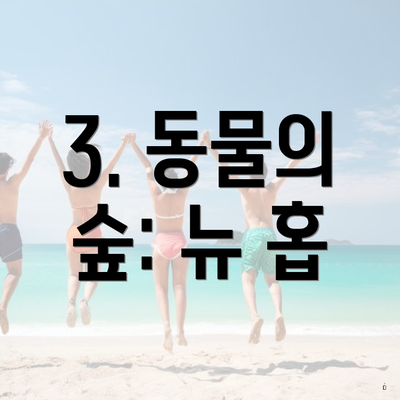 3. 동물의 숲: 뉴 홉