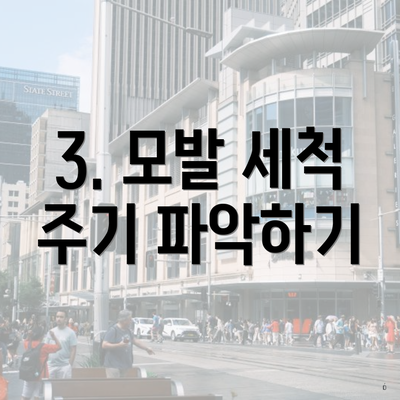 3. 모발 세척 주기 파악하기