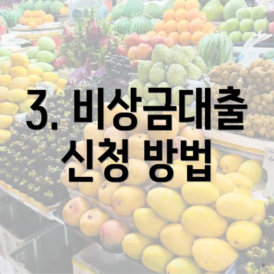 3. 비상금대출 신청 방법