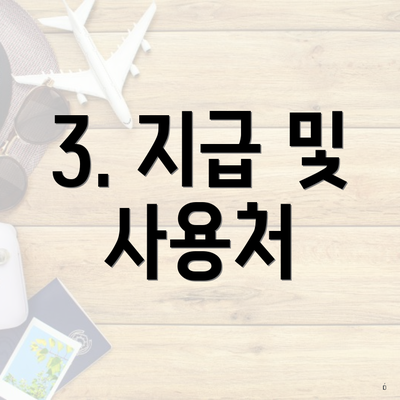 3. 지급 및 사용처