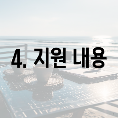 4. 지원 내용
