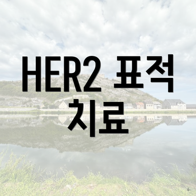 HER2 표적 치료