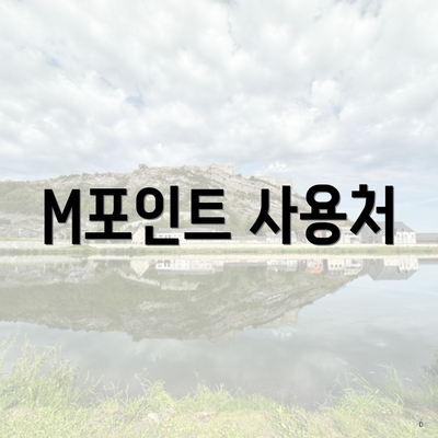 M포인트 사용처