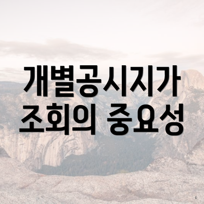 개별공시지가 조회의 중요성