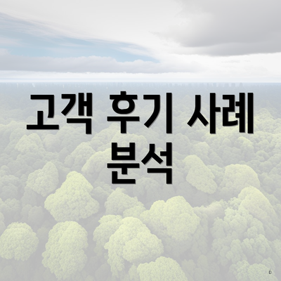고객 후기 사례 분석