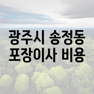 광주시 송정동 포장이사 비용