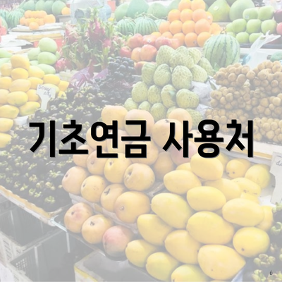 기초연금 사용처