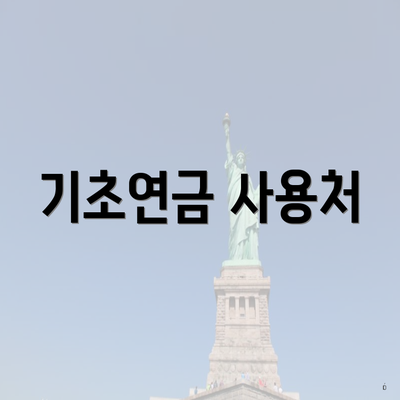 기초연금 사용처