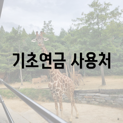 기초연금 사용처