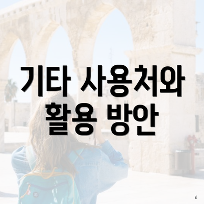 기타 사용처와 활용 방안