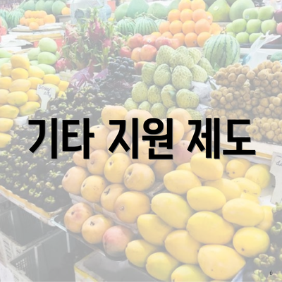 기타 지원 제도