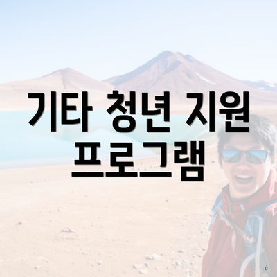 기타 청년 지원 프로그램