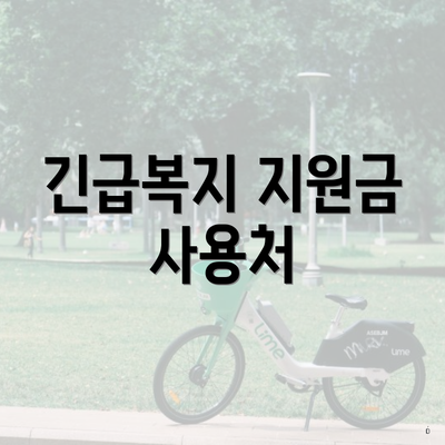 긴급복지 지원금 사용처