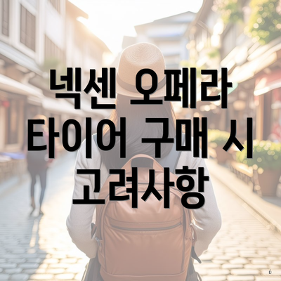 넥센 오페라 타이어 구매 시 고려사항