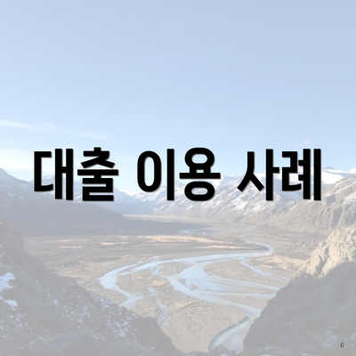 대출 이용 사례