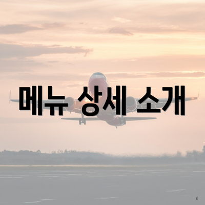 메뉴 상세 소개
