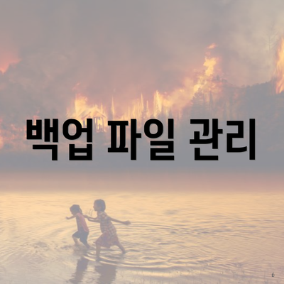백업 파일 관리