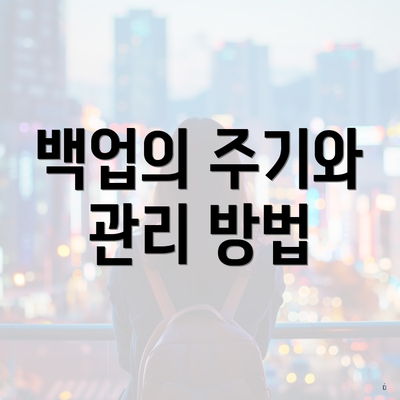 백업의 주기와 관리 방법