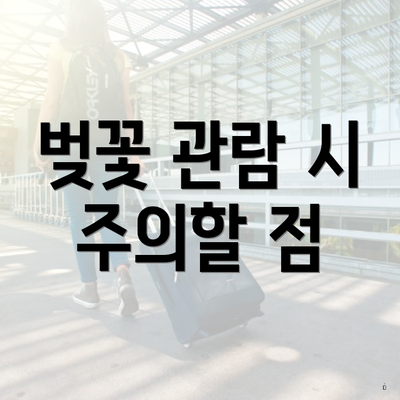 벚꽃 관람 시 주의할 점