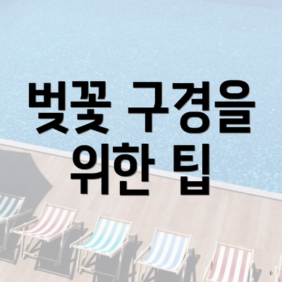 벚꽃 구경을 위한 팁
