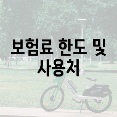 보험료 한도 및 사용처
