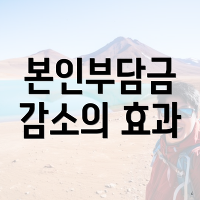 본인부담금 감소의 효과