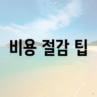 비용 절감 팁