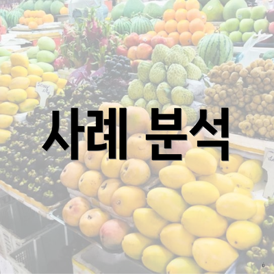 사례 분석