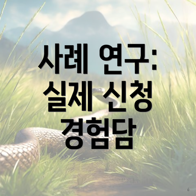사례 연구: 실제 신청 경험담