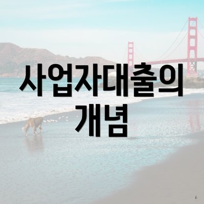 사업자대출의 개념