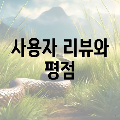 사용자 리뷰와 평점