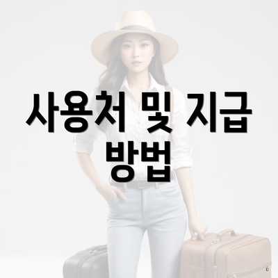 사용처 및 지급 방법